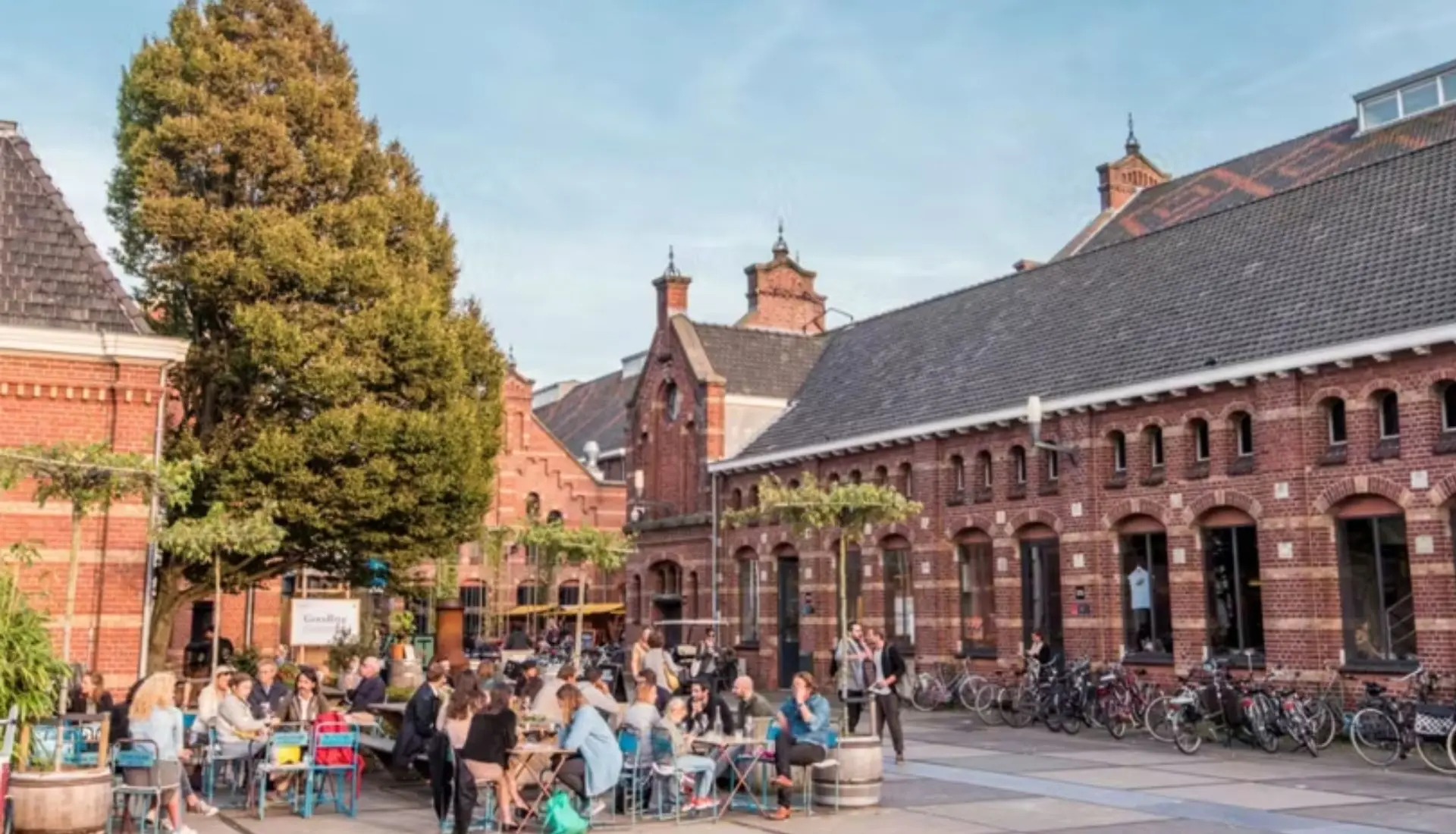 Amsterdam Travel Guide