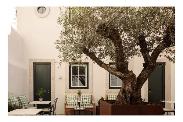 Hotel das Amoreiras, Courtyard, Olive tree, Lisbon 