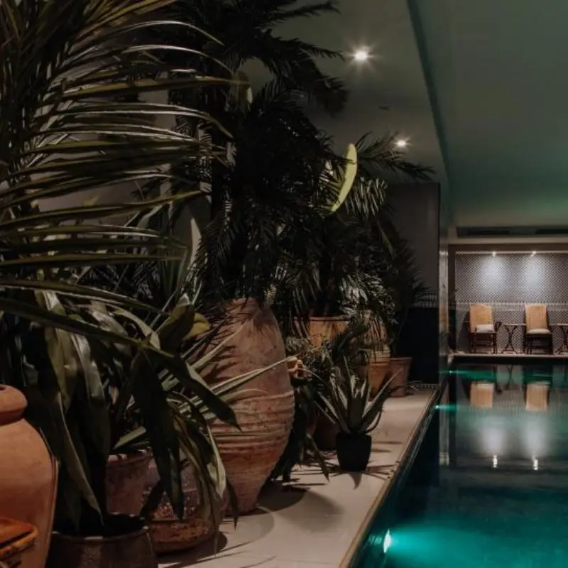 Hôtel Monte Cristo, Spa and Plants, Boutique Hotels In Paris 