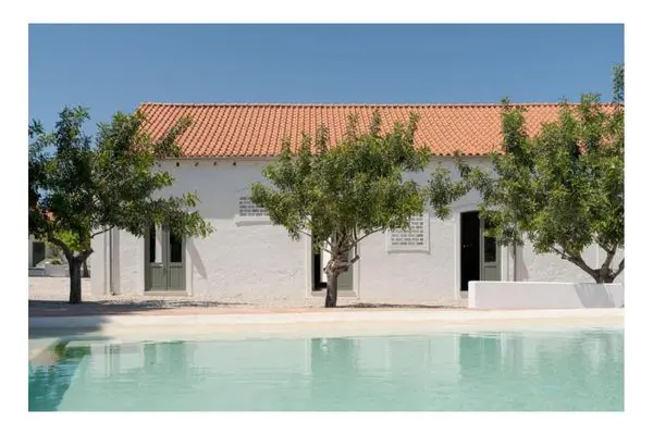 Swimming Pool with White Washed Wall 