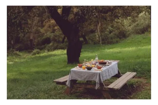 Outdoor Table with Lunch 