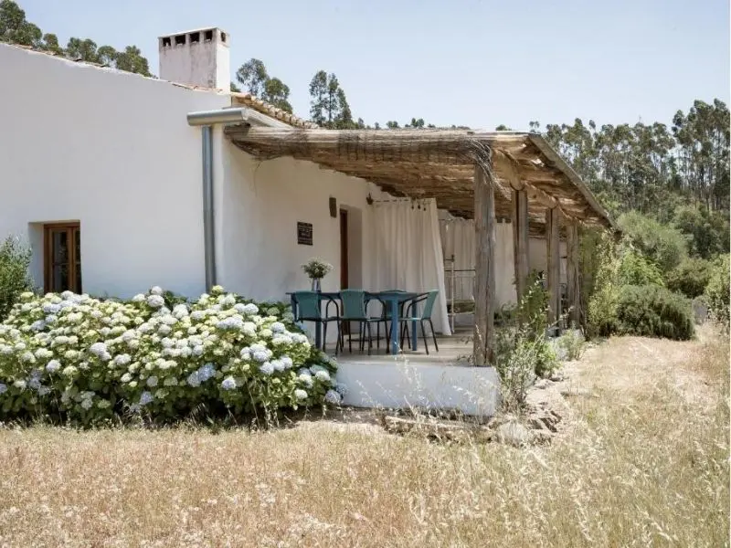 White Washed Walls and Long Grass 