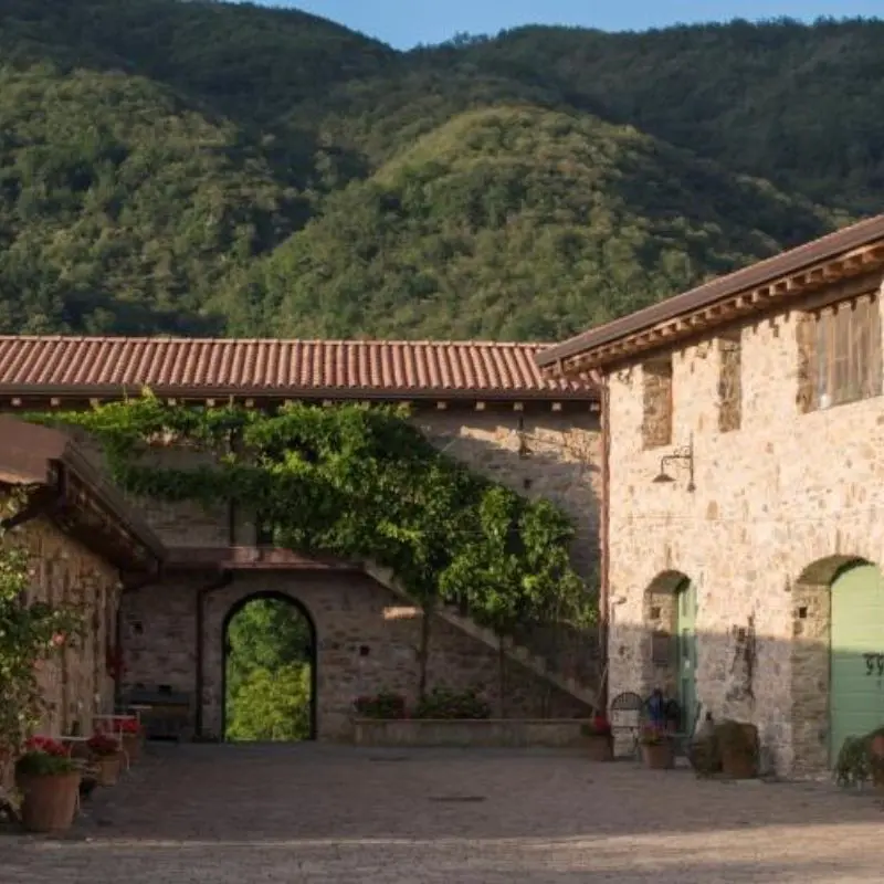 Tuscany Travel Guide Podere Conti