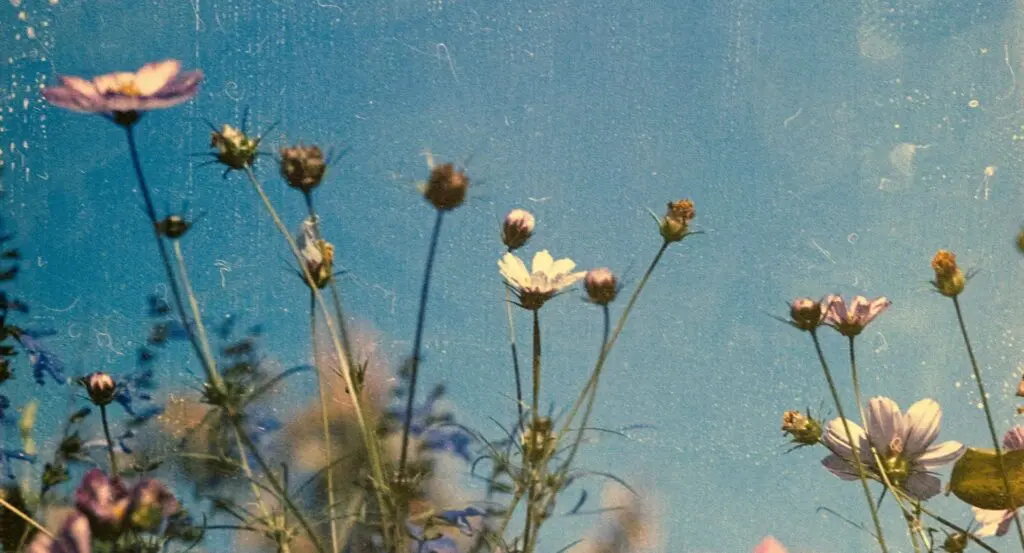 travel-journal-image-of-flowers