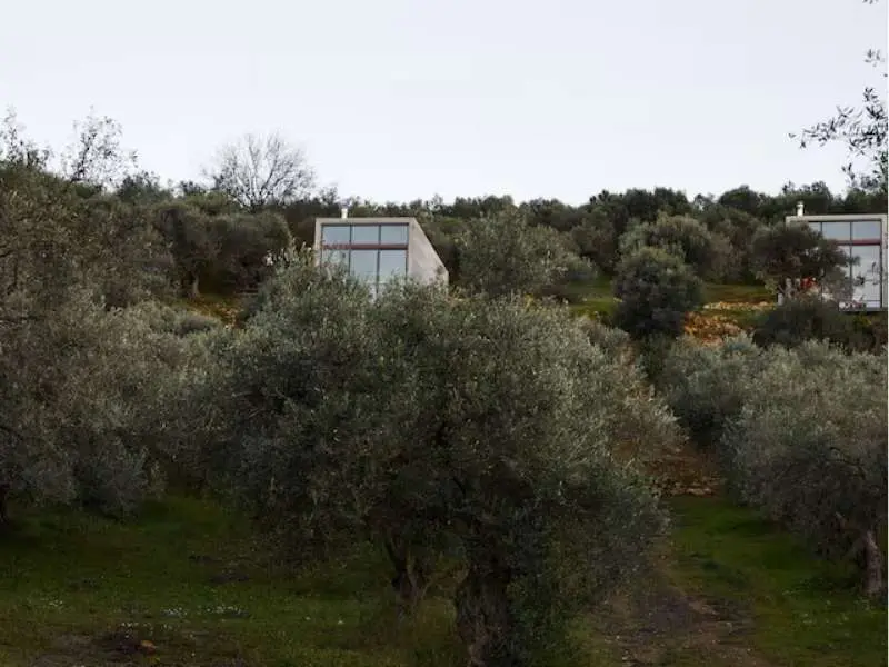 Cabanon Retreat House B olive grove setting