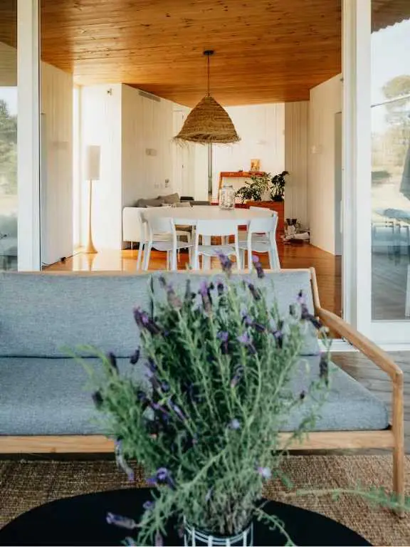 Open-plan dining and living area with timber ceiling and soft natural light