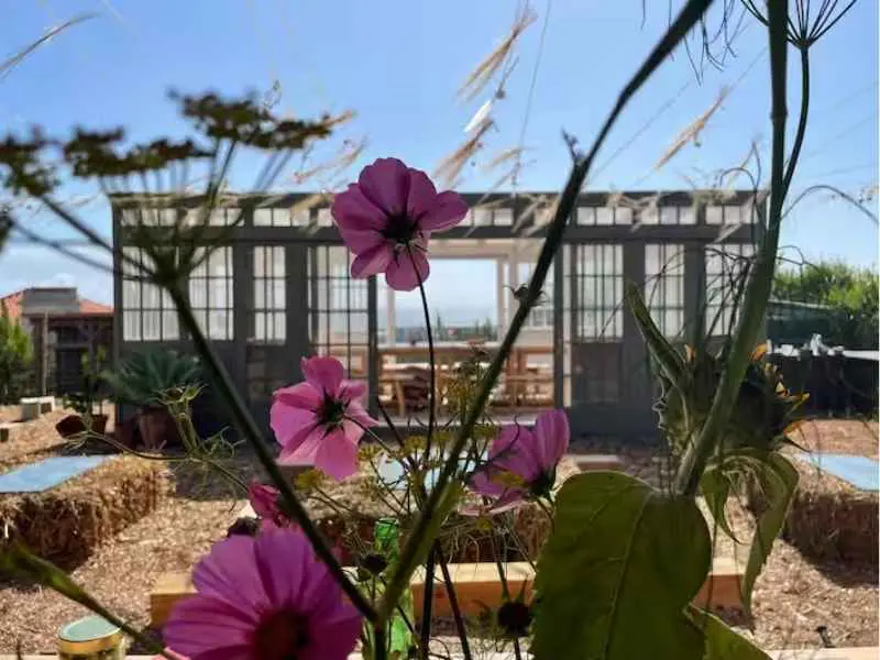 Garden greenhouse and outdoor seating framed by pink flowers