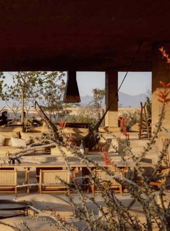Brutalist Hotels Paradero Todos Santos