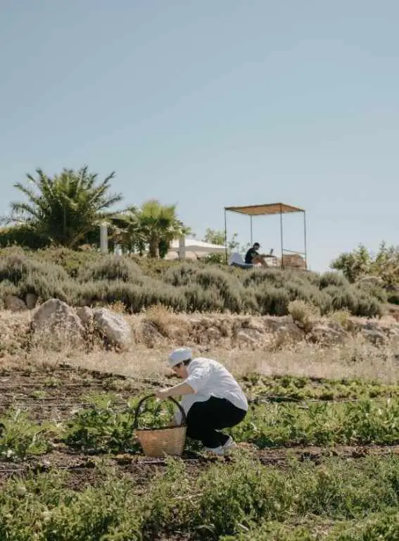Farm To Table Hotels In Italy Susafa