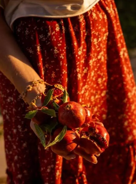 Farm To Table Hotels In Italy Masseria San Paolo Grande