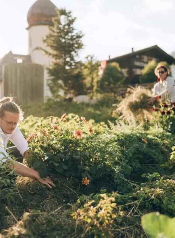 Hotels in the Austrian Alps Rote Wand Gourmet Hotel