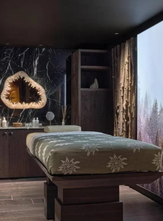 Hotels in the French Alps Lodge Park