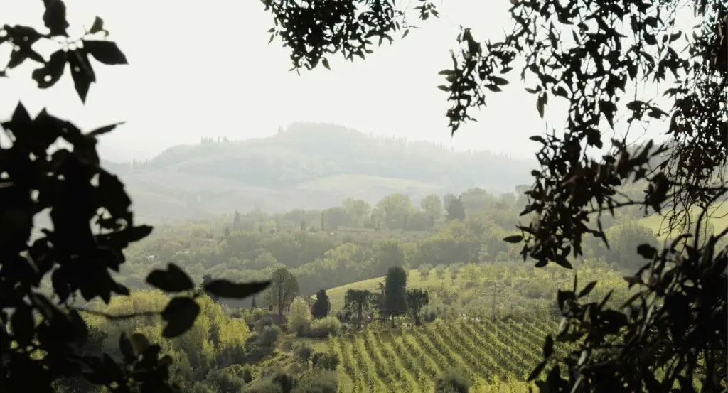 Wine Hotels Italy