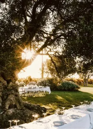 Outdoor Table with Sunlight through Trees 