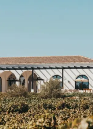 Exterior of Restaurant through Vineyards 