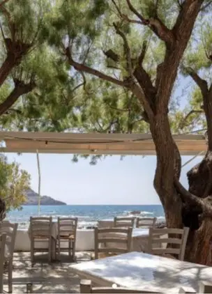 GioMa Taverna seaside terrace dining under olive trees
