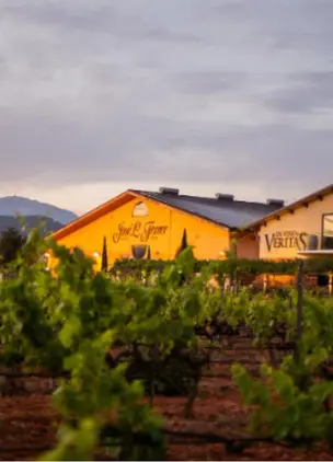 Wineries In Mallorca Bodegas José L. Ferrer