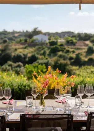 Table with wineglasses, view over Land 