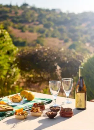 Bottle of Wine with View over the Land 
