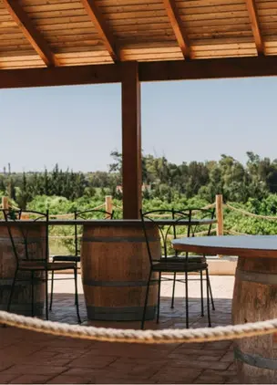 Terrace at Winery with View over Land 