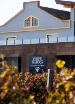 Winery exterior building framed by vineyard rows in Setúbal