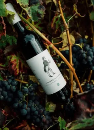 Wine bottle resting among harvested grapes on the vine