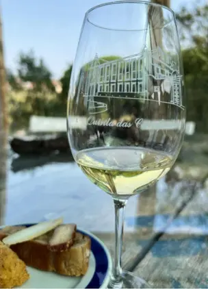 Glass of white wine beside bread with vineyard views in the background