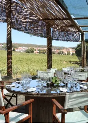 Outdoor vineyard dining table set beneath a shaded pergola