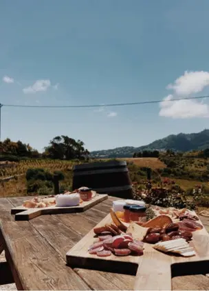 Outdoor vineyard tasting table with bread, cheese, and charcuterie overlooking the hills