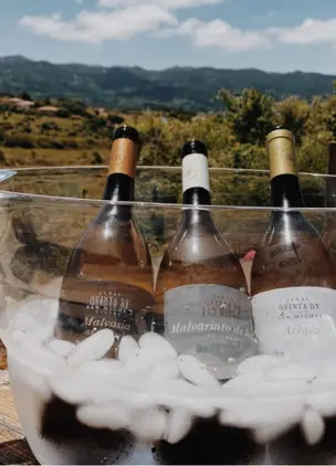 Bottles of chilled wine in an ice bucket set against vineyard and mountain views