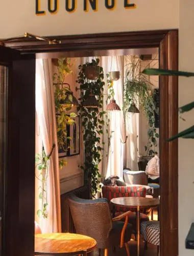 Lounge at The Pilgrm hotel London with plants and salvaged wood panelling