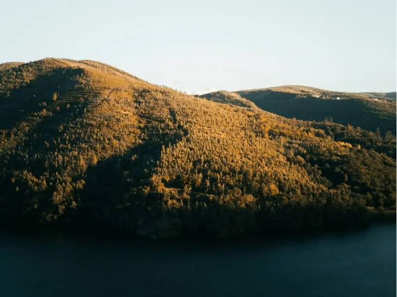 best-airbnbs-in-north-portugal-01