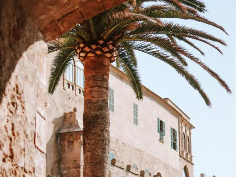 mallorca-vacation-rental