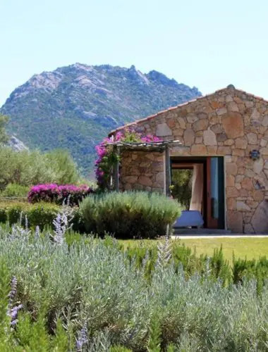 sardinia-hotels-albero-capovolto-01
