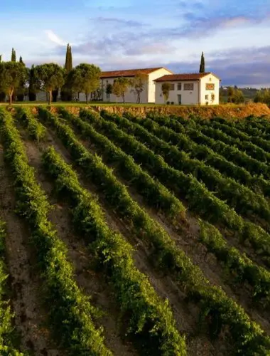 tuscany-hotels-colle-alberti-country-house-01