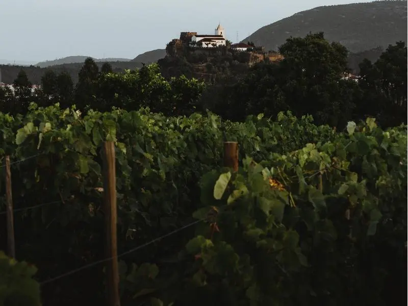 wine-hotels-douro-valley-01