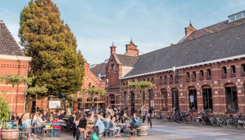 Amsterdam Travel Guide