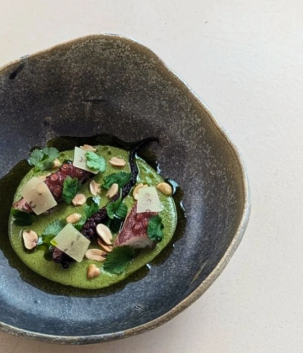 Algarve Travel Guide Austa