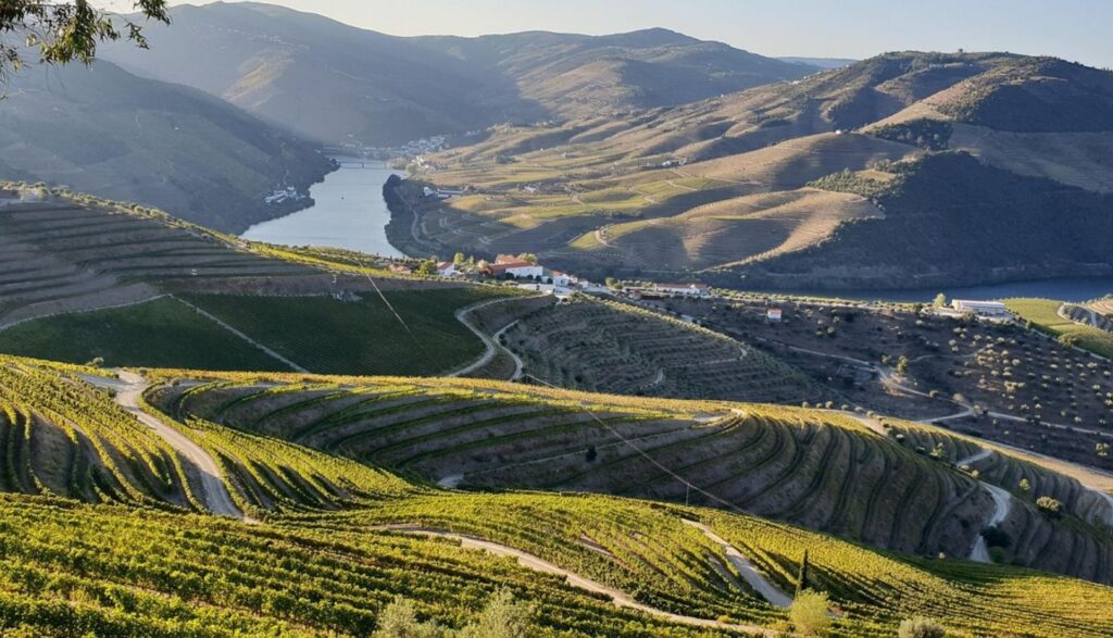 North Portugal Travel Guide Douro Valley