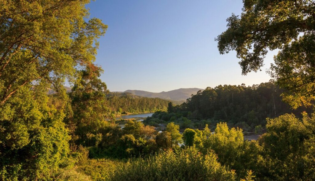 North Portugal Travel Guide Minho (1)