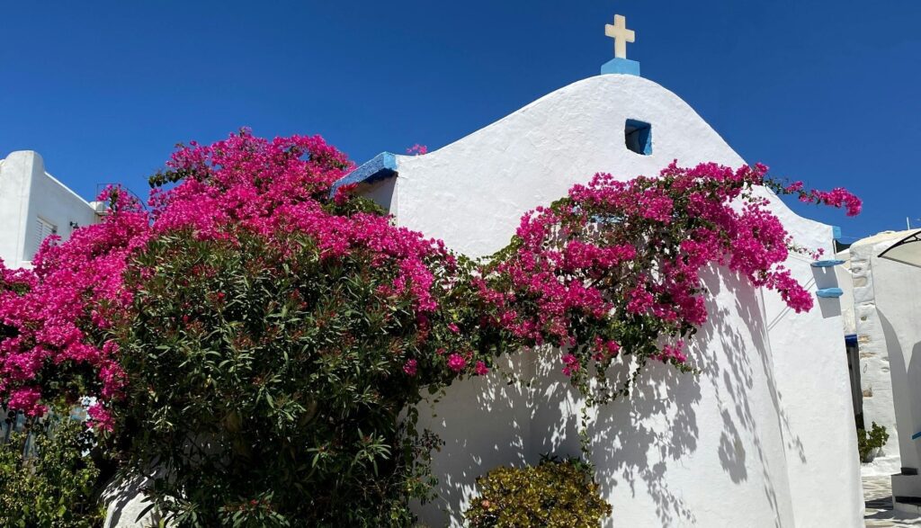 Paros Travel Guide Parikia