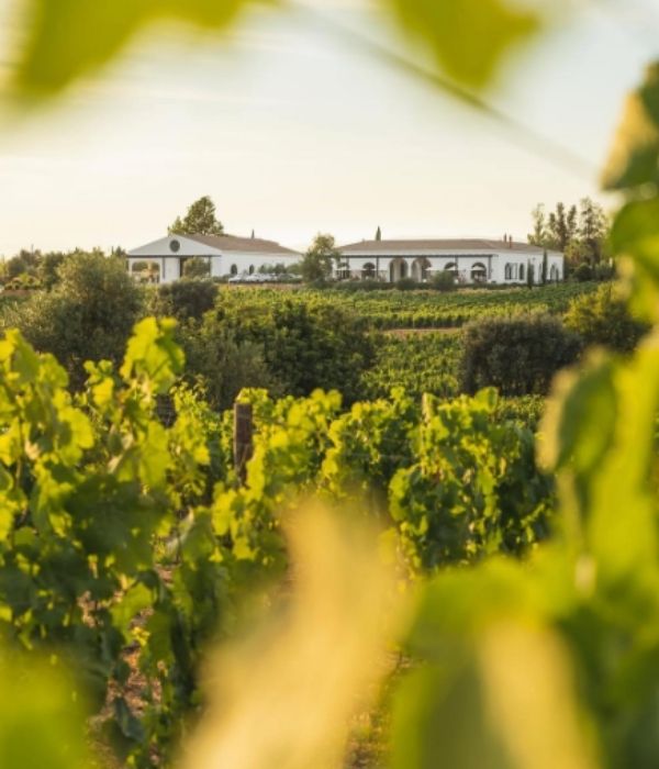 Algarve Travel Guide Quinta dos Santos