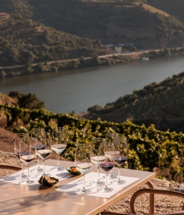 North Portugal Travel Guide Terraçu's Restaurant