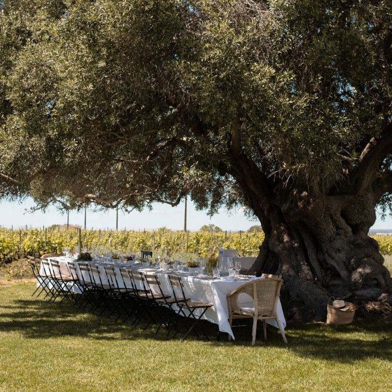 Best Hotels in the Algarve Morgado do Quintão