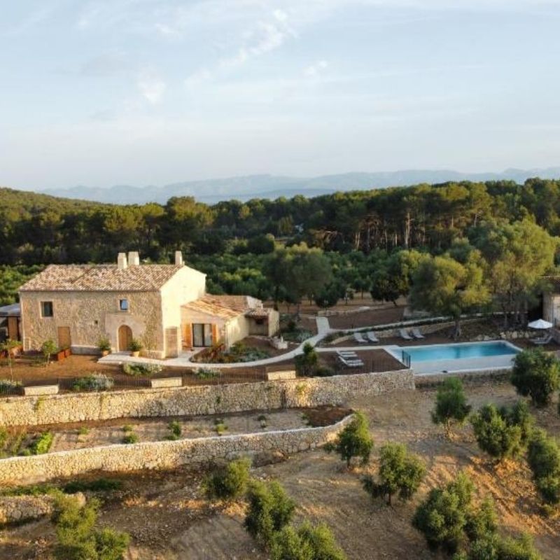 Mallorca Travel Guide Fincahotel Treurer - Olive Grove & Grand House