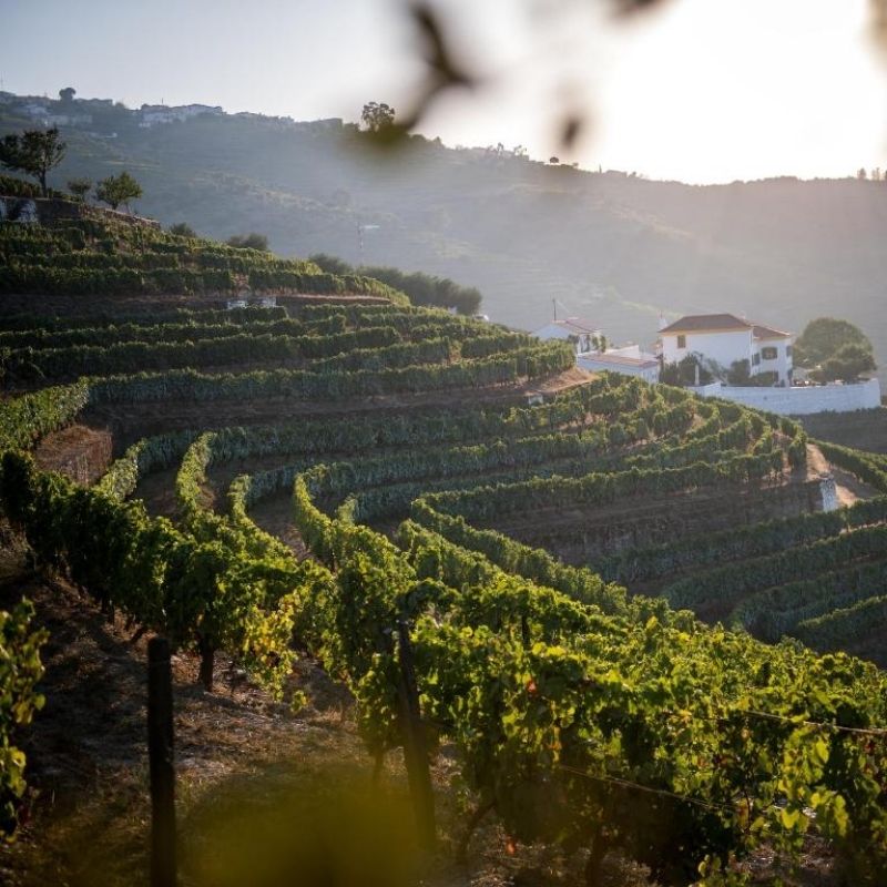 North Portugal Travel Guide Quinta da Côrte