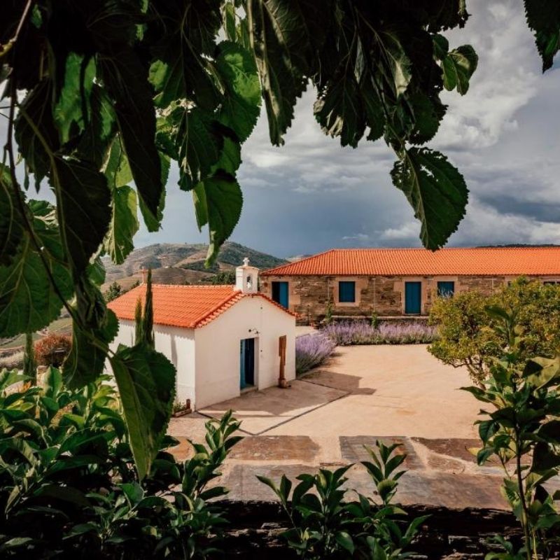 North Portugal Travel Guide Ventozelo Hotel & Quinta