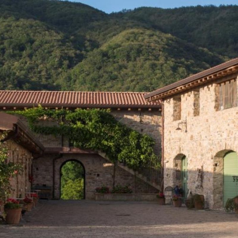 Tuscany Travel Guide Podere Conti