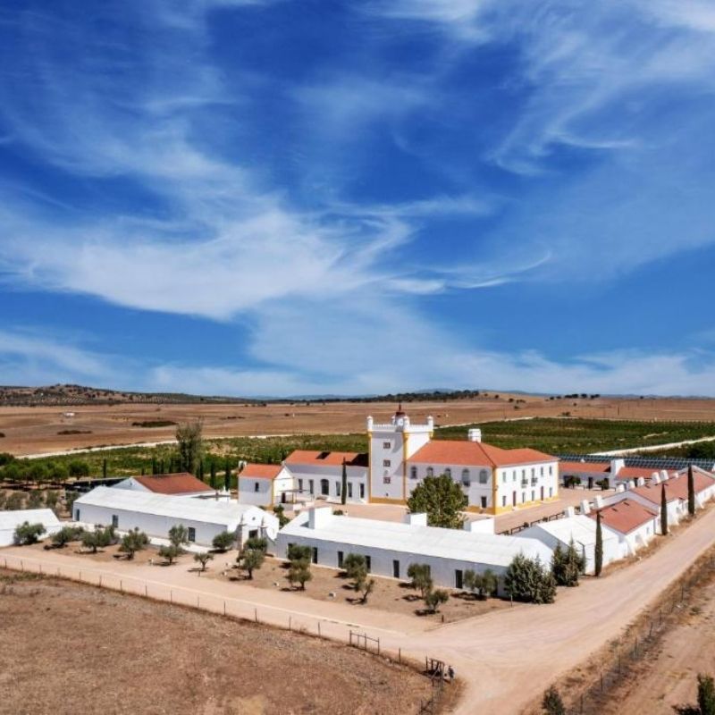 Central Portugal Travel Guide Torre de Palma Wine Hotel