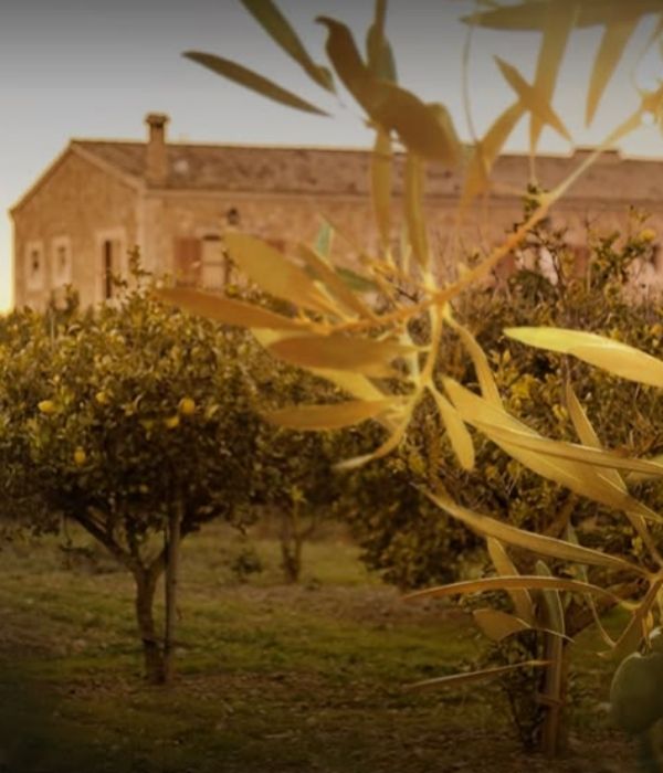 Mallorca Travel Guide la farm